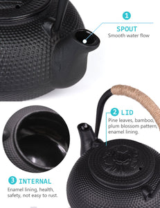 Cast Iron Teapot